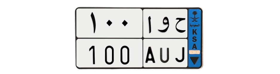 لوحة ح و ا 100